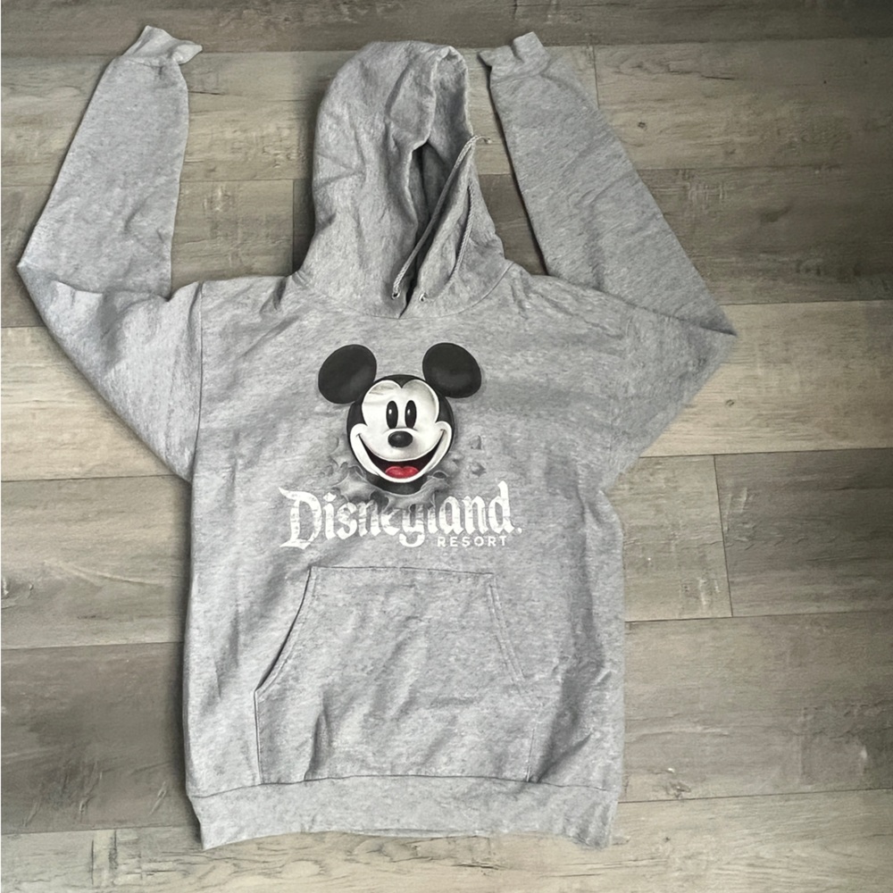 Disneyland hoodie